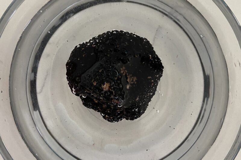 black truffle pasta