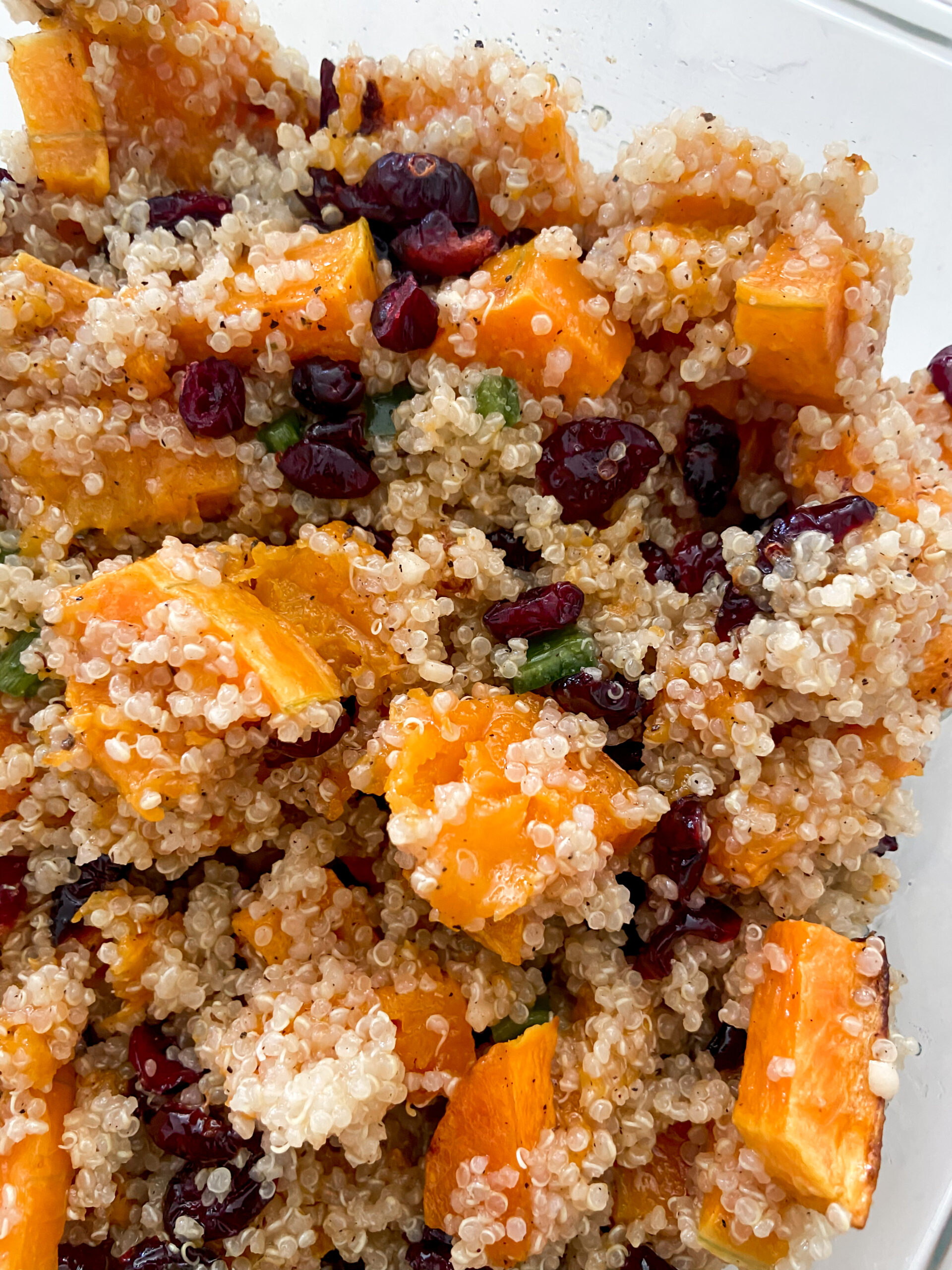 Squash and Quinoa with Cranberries - Rachel Tritsch
