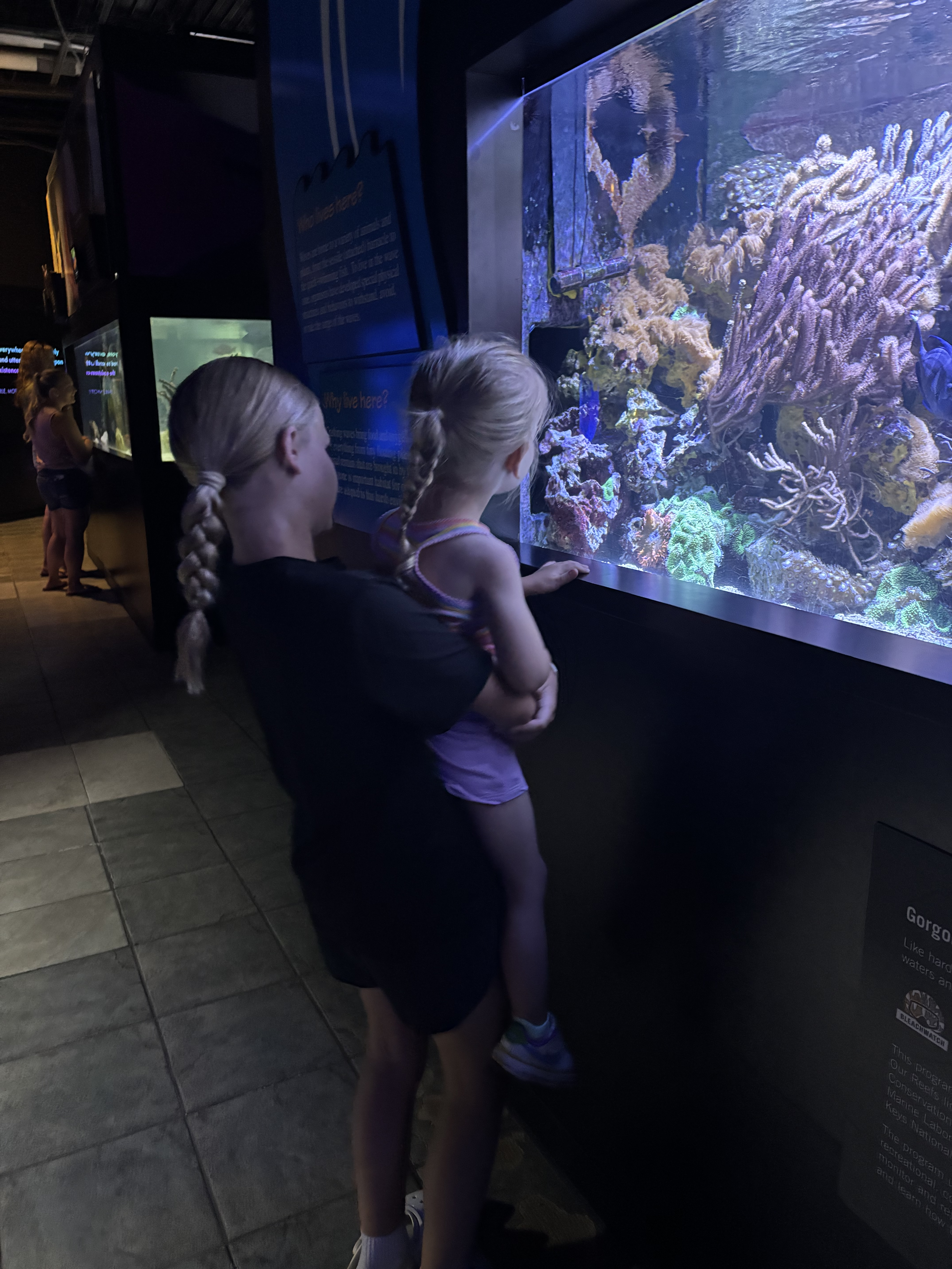 mote aquarium