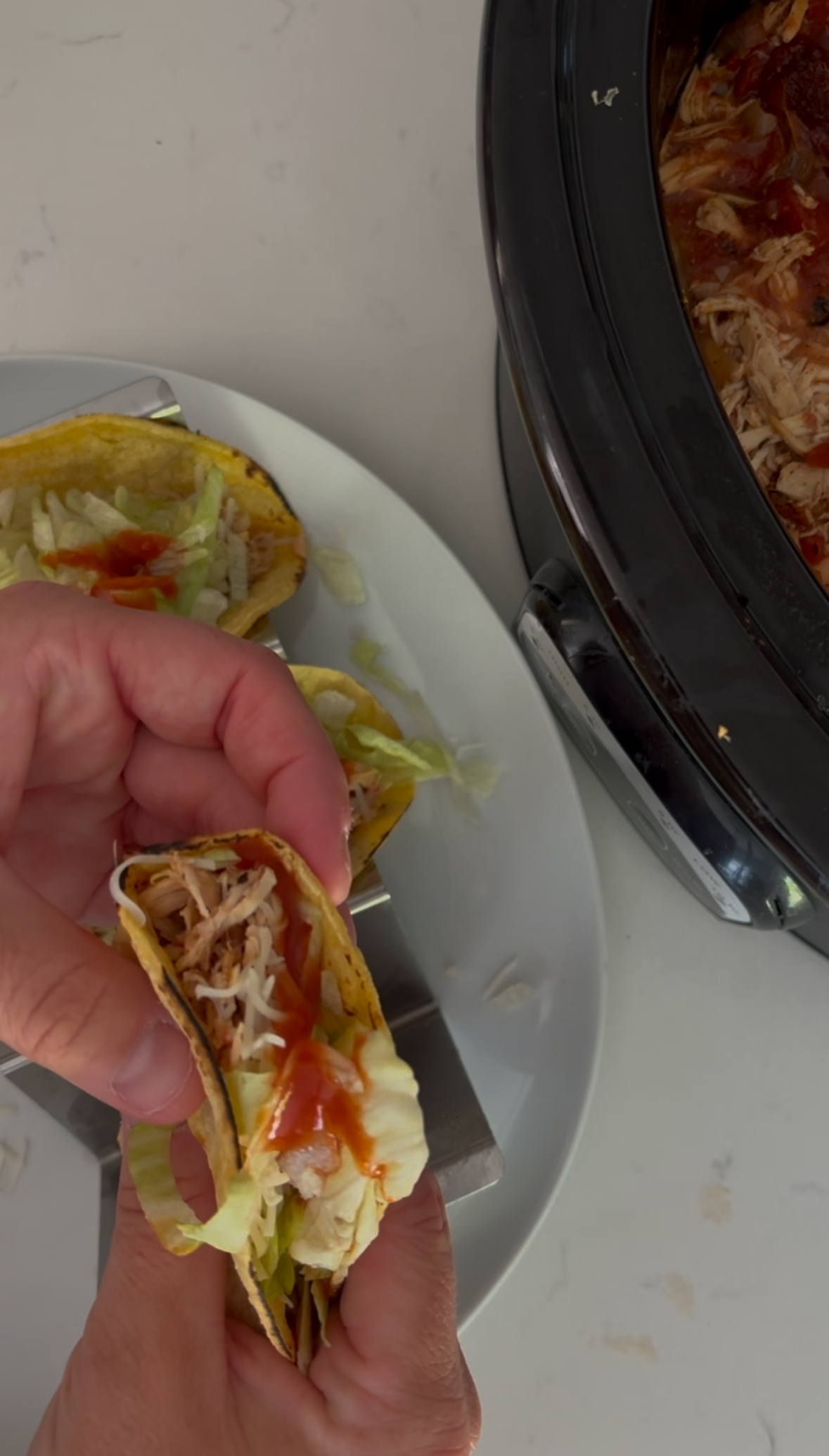 chicken tinga
