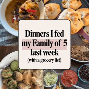 dinners I fed my family of 5