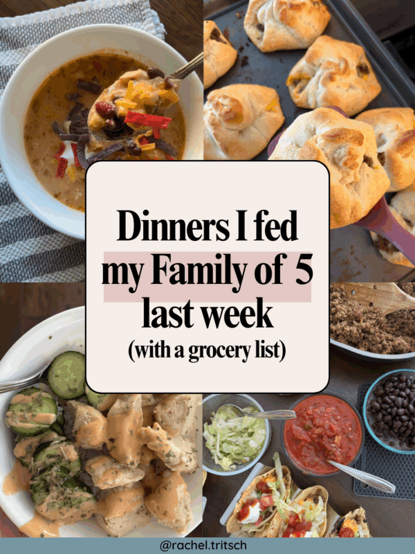 dinners I fed my family of 5