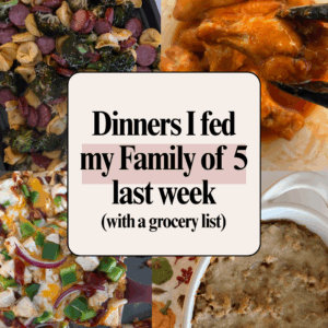 dinners I fed my family of 5