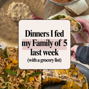 dinners I fed my family graphic