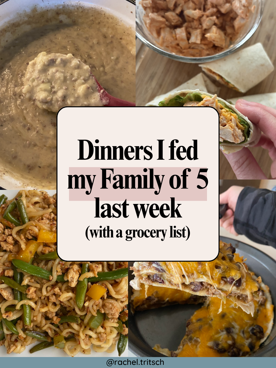 dinners I fed my family graphic