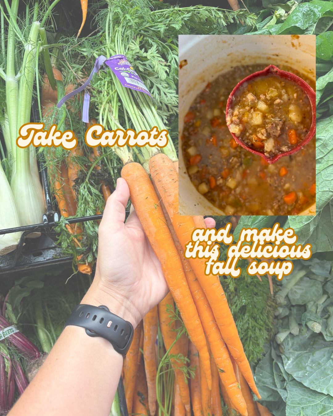 healing soup