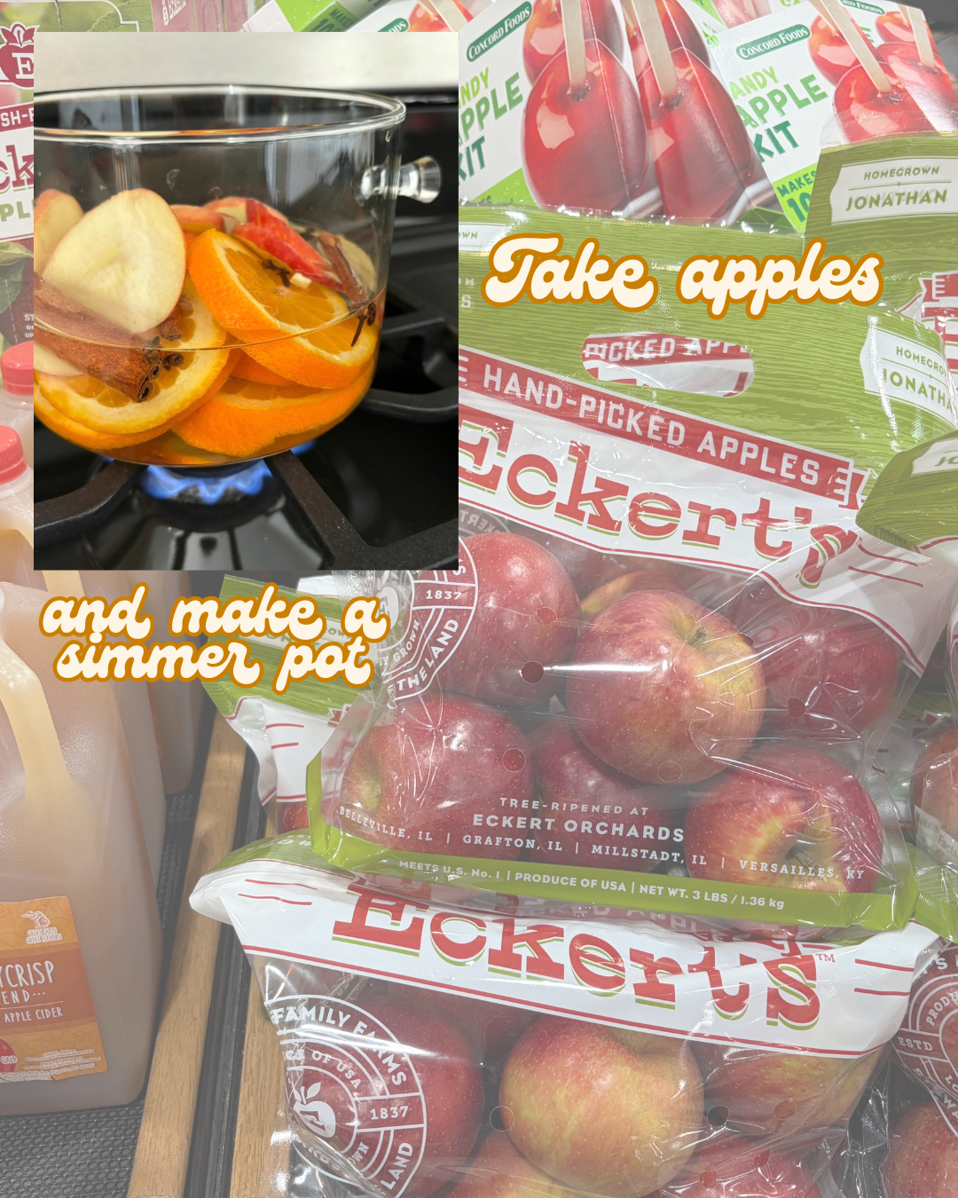 apples to make a fall simmer pot